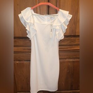 She and Sky White Ruffle Sleeve Mini Dress